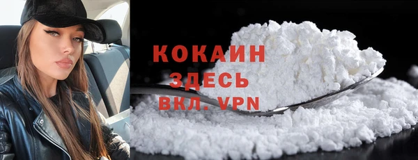 шишки Беломорск