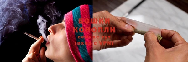 шишки Беломорск