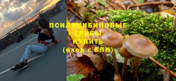 гашик Баксан