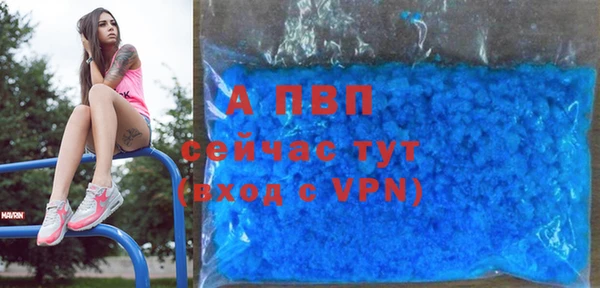 гашик Баксан