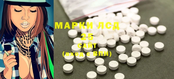 шишки Беломорск