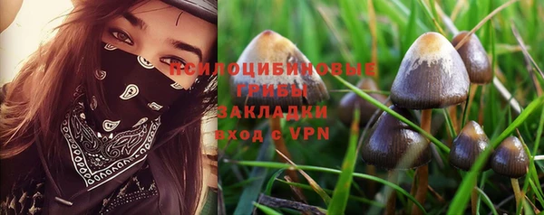 прущий лед Белокуриха