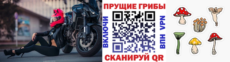 Галлюциногенные грибы Magic Shrooms  Теберда 